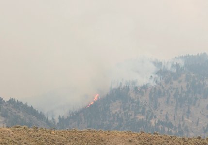 Buffalo Fire near Slough Creek