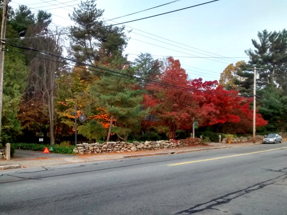 IMG 20151102 080116469 HDR