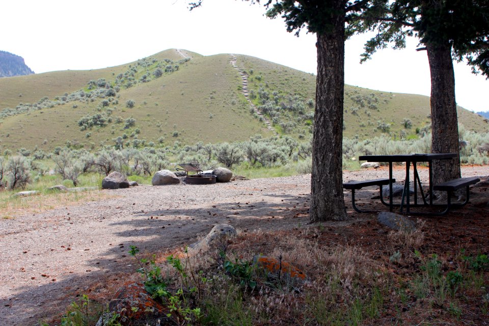 Mammoth Hot Springs campground