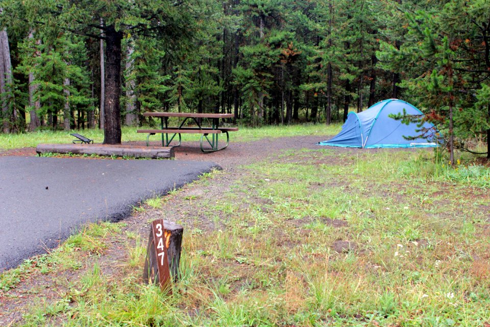 Bridge Bay Campground site
