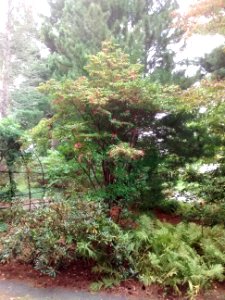 IMG 20151005 151403862