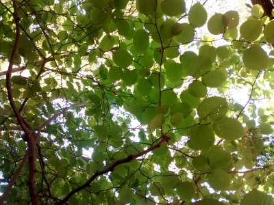 IMG 20151010 132137135
