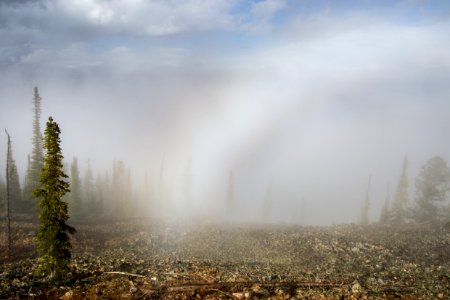 Fogbow, Bunsen Peak photo