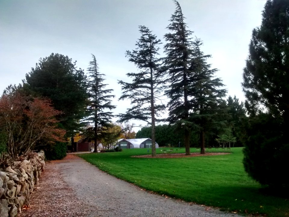 IMG 20151029 164055102 HDR