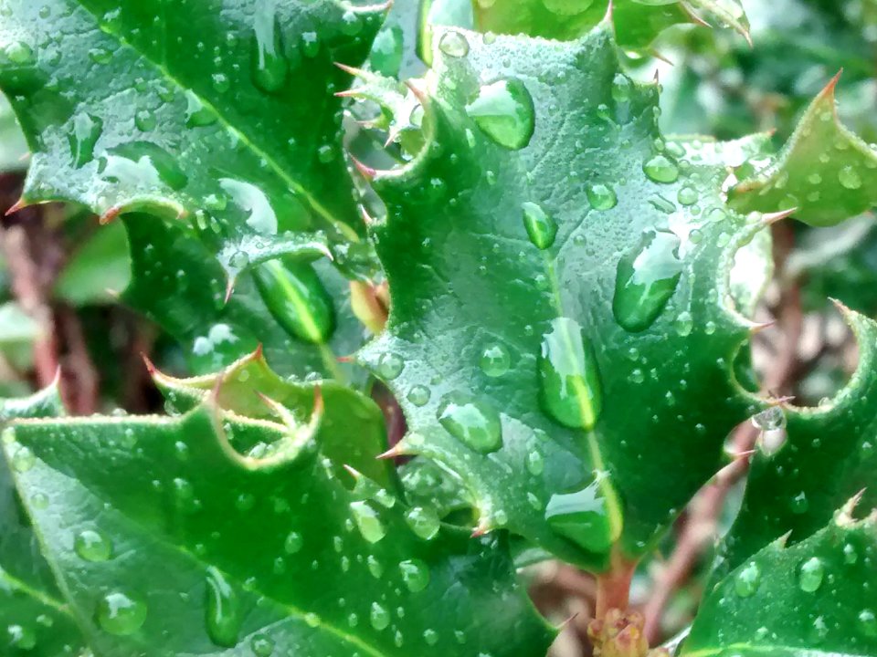 2015-08-31 02-25-15