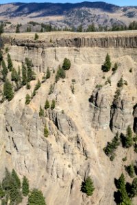 Yellowstone River Canyon near Tower photo