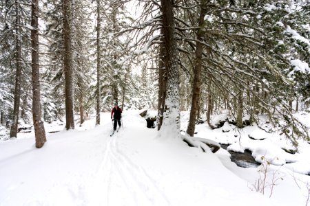 Skier crossing the bridge over Emigrant Creek photo