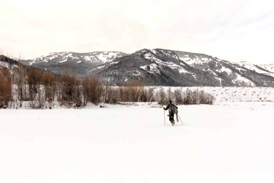 Doug Smith skis across a frozen Yellowstone River