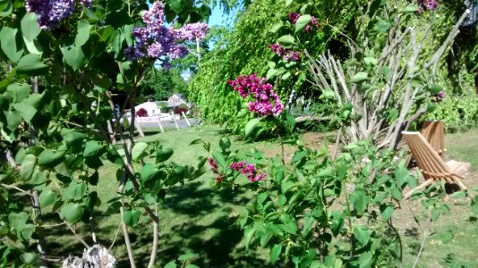 IMG 20150514 163430141
