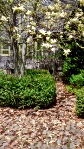 IMG 20150511 121429343 HDR
