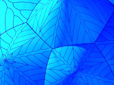 ACMI’s Arboria: Architects of Air