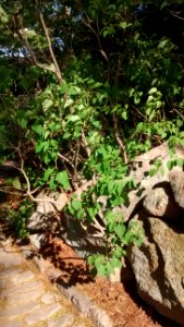 IMG 20150514 161617324