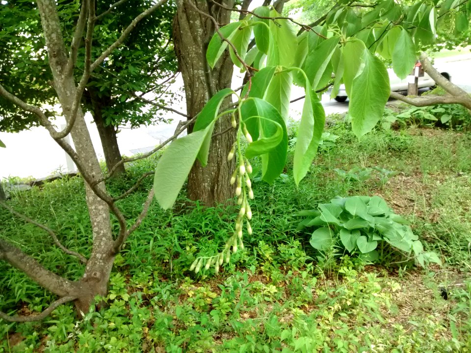 IMG 20150526 161537361
