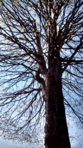 IMG 20150505 152309296 HDR