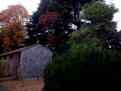 IMG 20151028 140447851