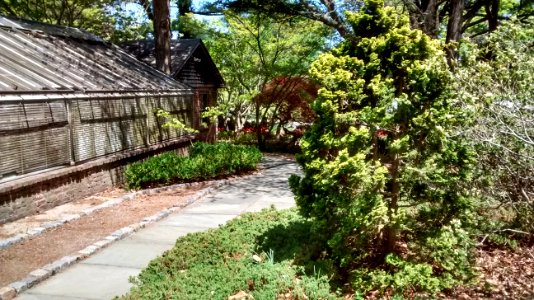 IMG 20150511 131244953 HDR