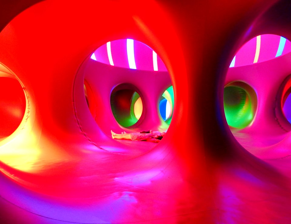 ACMI’s Arboria: Architects of Air