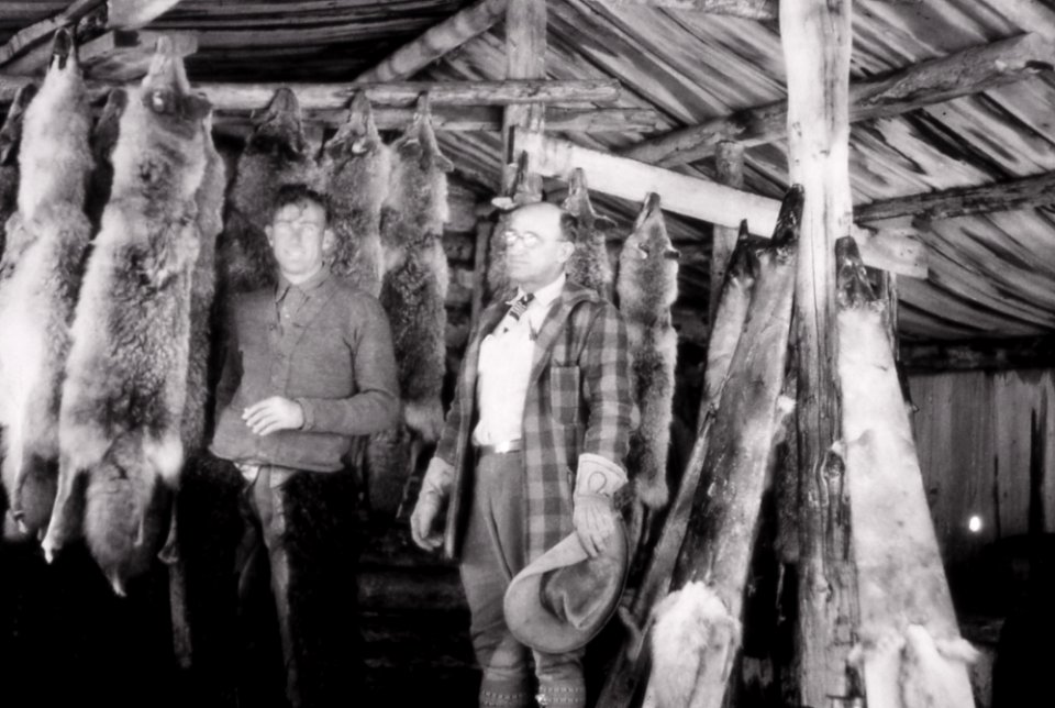 Ranger Ted Ogsten & Chief Ranger Sam Woodring with coyote pelts; 1927