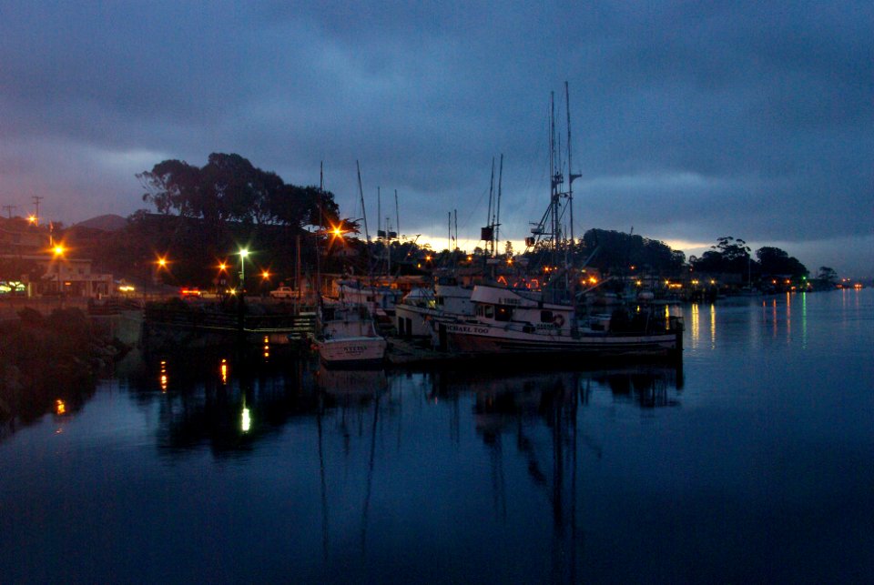 MORRO BAY MORNING  12-12-08 -2