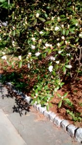 IMG 20150514 161328439