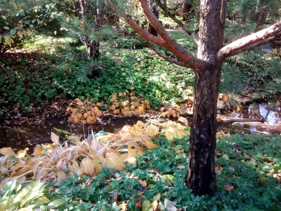 IMG 20151026 110353133