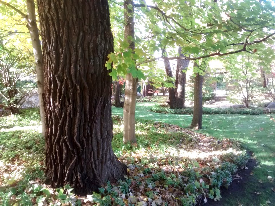 IMG 20151026 110620041