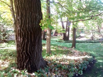 IMG 20151026 110620041