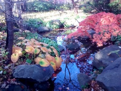 IMG 20151026 100649490