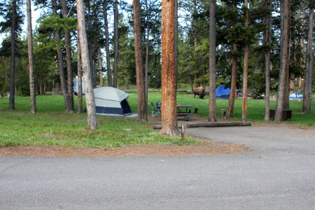 Norris Campground site photo