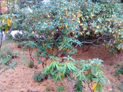 IMG 20151029 171612131
