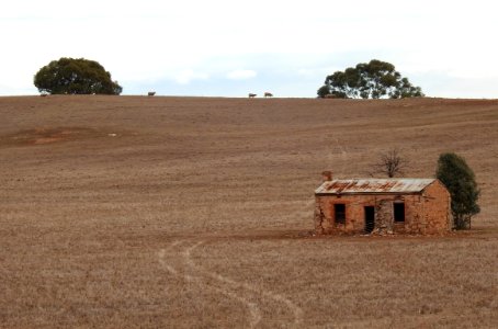 Rural South Australia photo