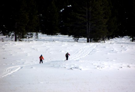 Skiers on Fawn Pass Trail photo