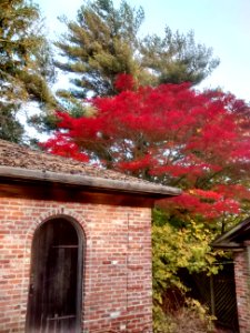 IMG 20151029 165537423 HDR