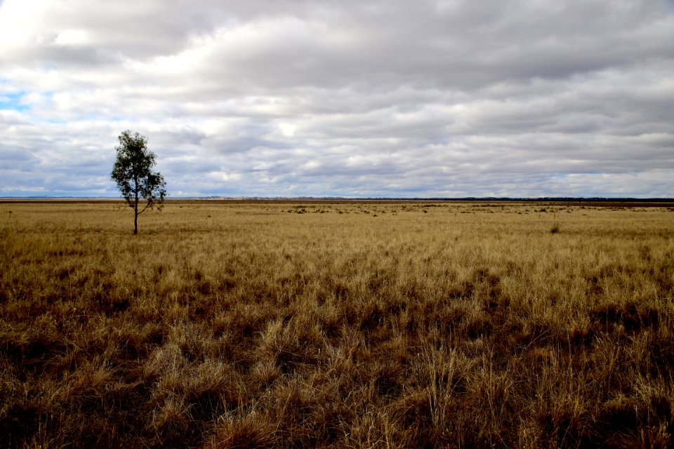 Murray Sunset National Park