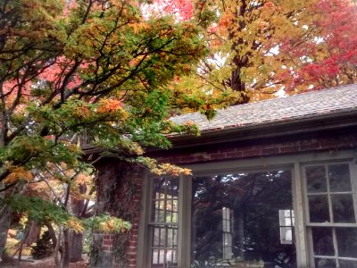 IMG 20151028 121729238 HDR
