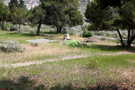 Mammoth Hot Springs Campground
