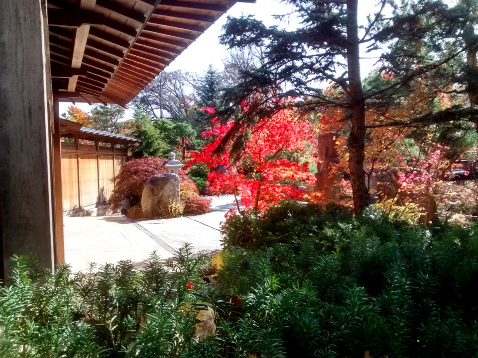 IMG 20151026 115716876 HDR