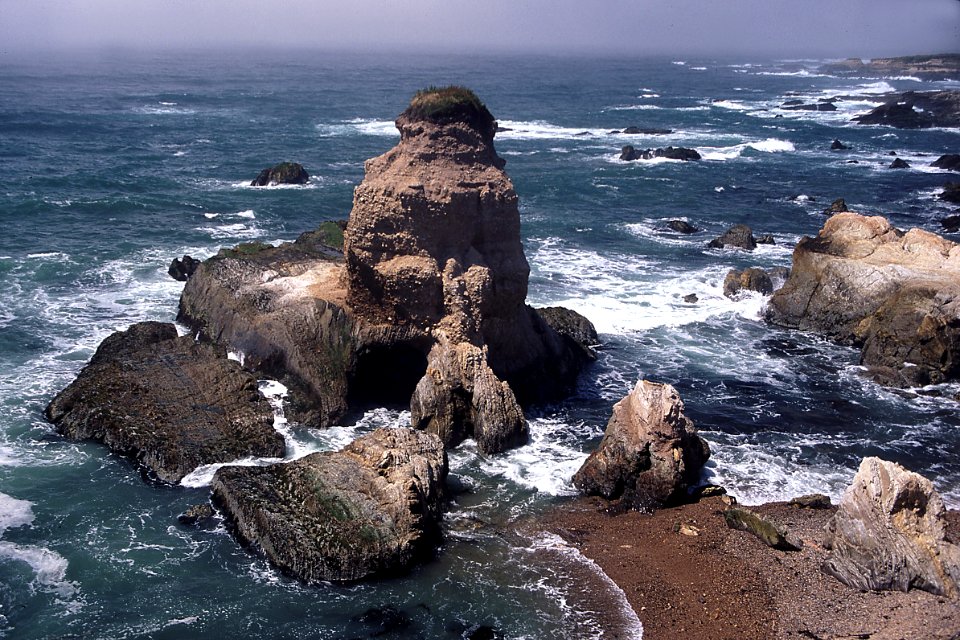 MONTANA DE ORO STATE PARK -042