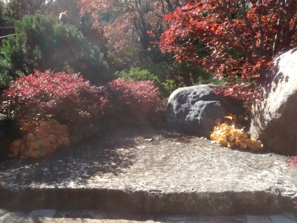 IMG 20151026 104517051