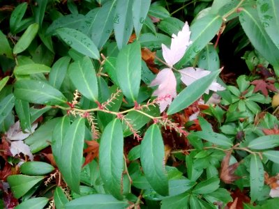 IMG 20151106 101421979