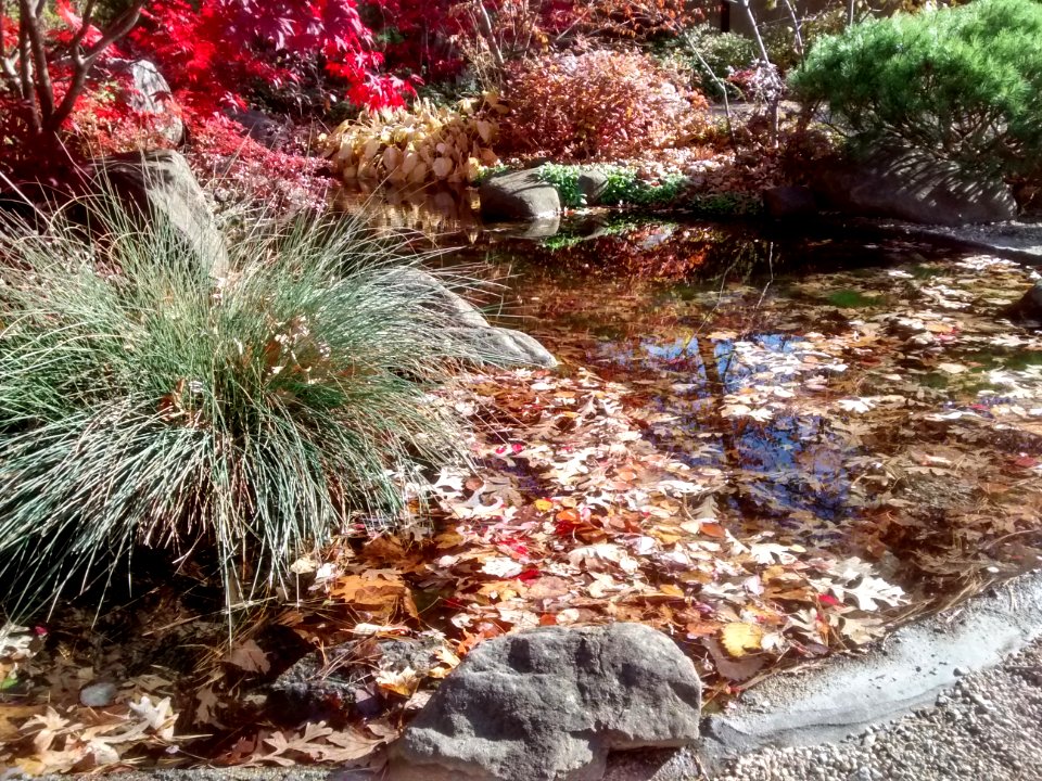 IMG 20151026 105255237 HDR