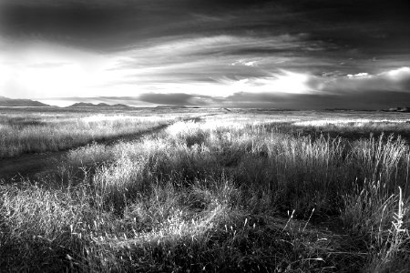 AZ - SAN RAFAEL VALLEY GRASSLANDS, SE of Patagonia, scc  (40a)