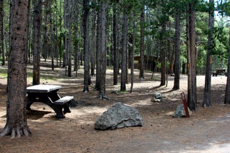 Tents only site photo