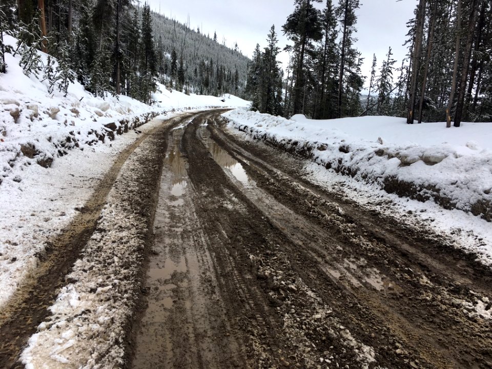 Snowmelt & mud in the construction zone between Mammoth Hot Springs and the Norris Geyser Basin