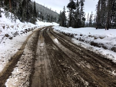 Snowmelt & mud in the construction zone between Mammoth Hot Springs and the Norris Geyser Basin