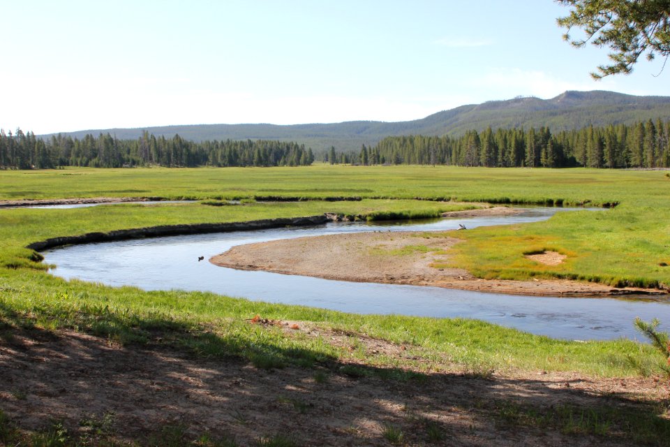 Gibbon River as seen from Norris Campground