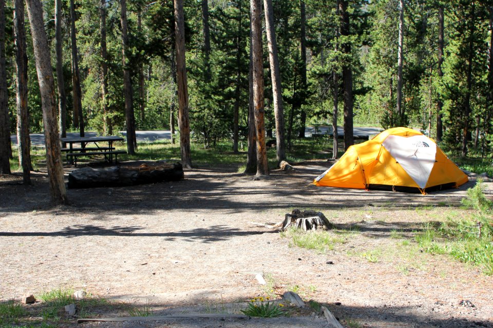 Norris Campground site