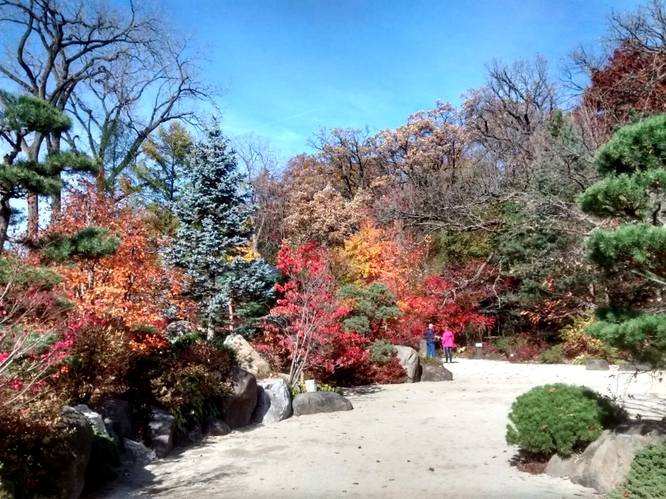 IMG 20151026 113217579 HDR