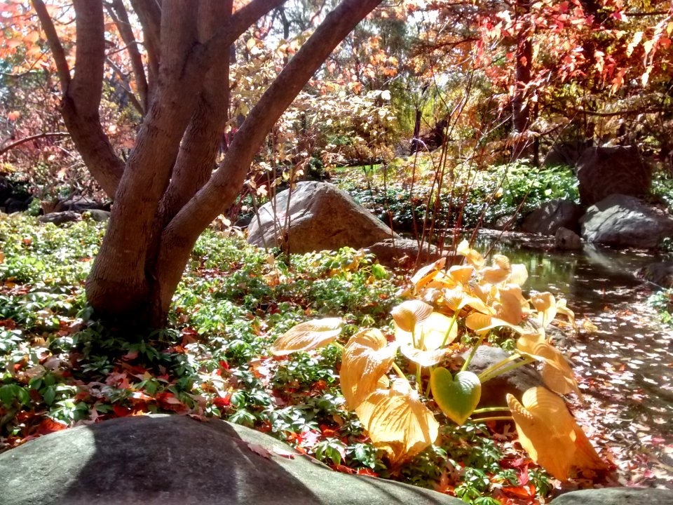 IMG 20151026 122141381 HDR