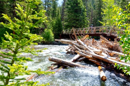 Backpacker crosses the Horse Creek Bridge in the Absaroka Beartooth Wilderness photo